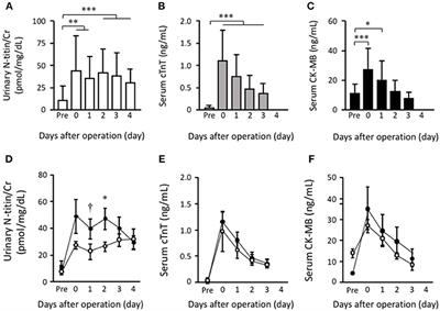 Urinary Titin Is Increased in Patients After Cardiac Surgery